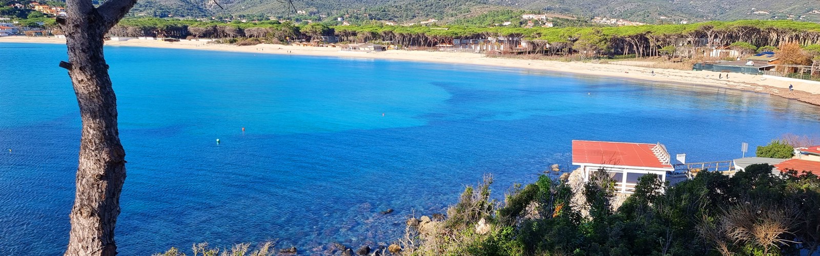 Appartamento Pianosa