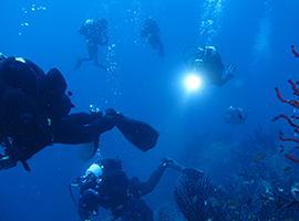 Spiaggia di Marina di Campo Isola d'Elba
